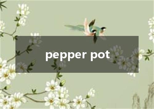 pepper pot是什么意思