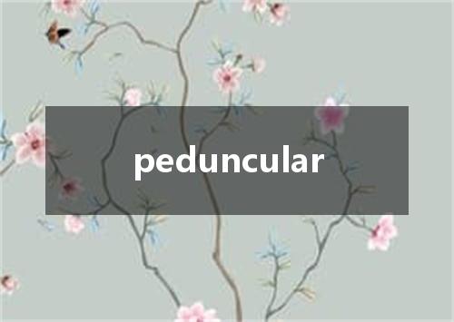 peduncular是什么意思