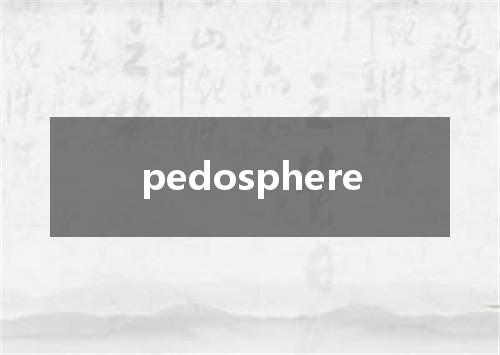 pedosphere是什么意思