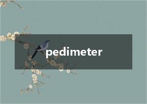 pedimeter是什么意思