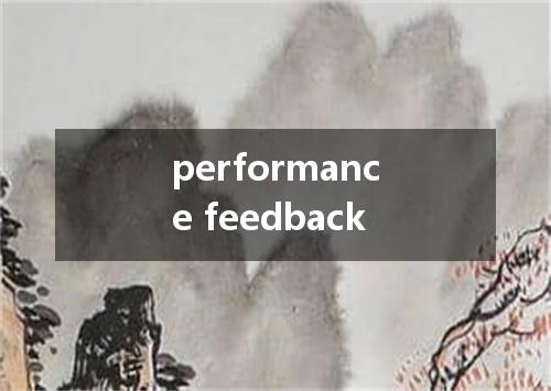 performance feedback是什么意思