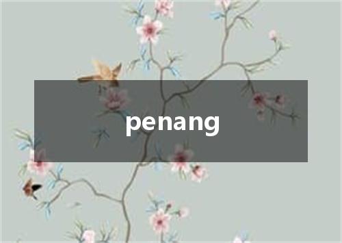 penang是什么意思