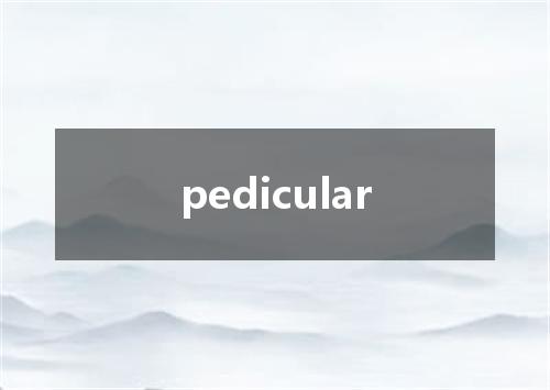 pedicular是什么意思