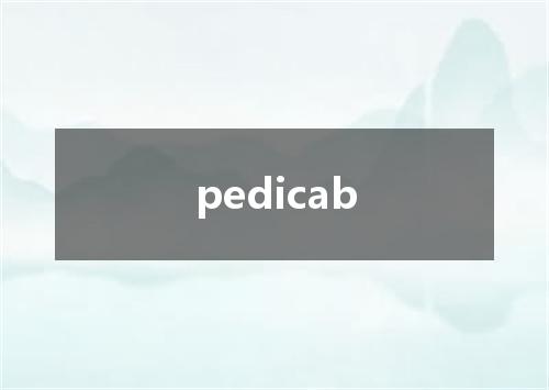pedicab是什么意思