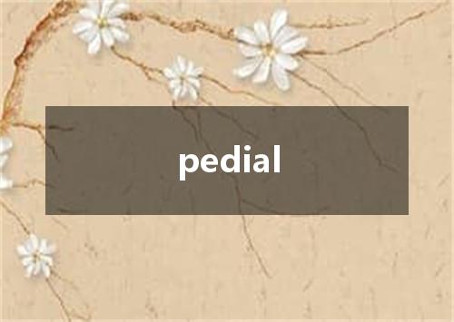 pedial是什么意思