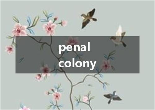 penal colony是什么意思
