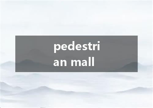 pedestrian mall是什么意思