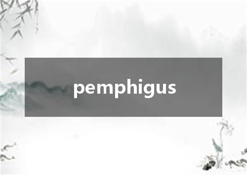 pemphigus是什么意思
