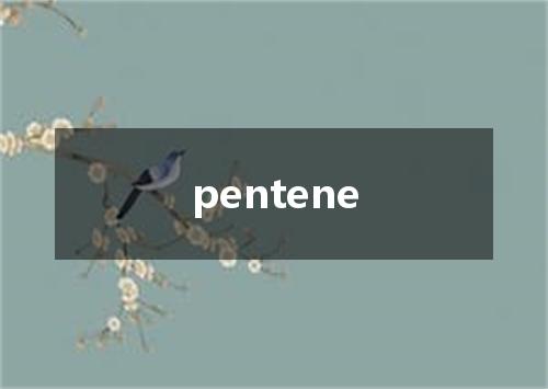 pentene是什么意思