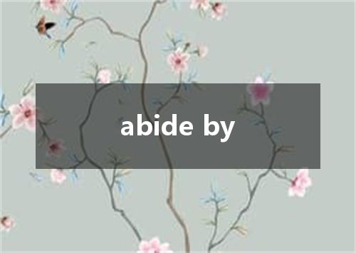 abide by是什么意思
