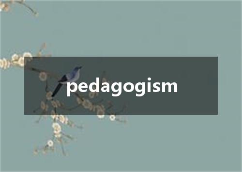 pedagogism是什么意思