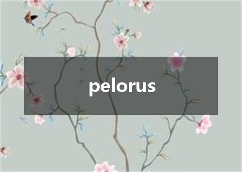 pelorus是什么意思