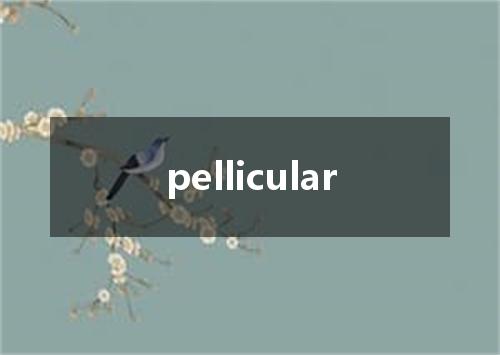 pellicular是什么意思