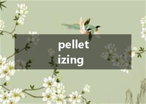 pelletizing是什么意思