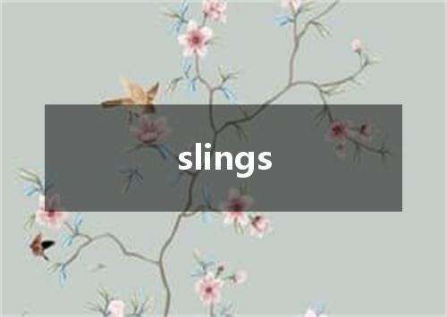 slings是什么意思