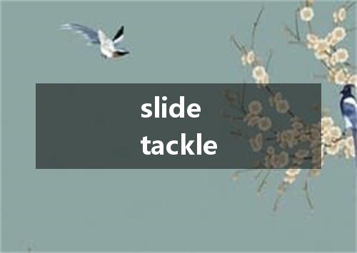 slide tackle是什么意思