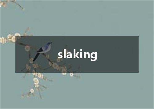 slaking是什么意思