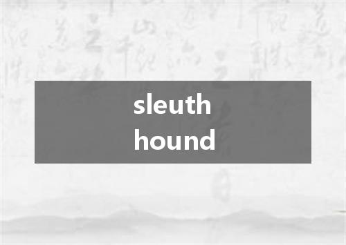 sleuthhound是什么意思