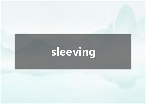 sleeving是什么意思