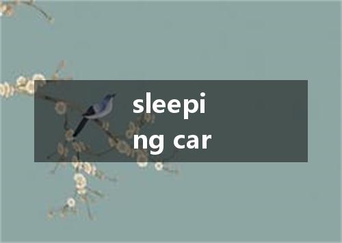 sleeping car是什么意思