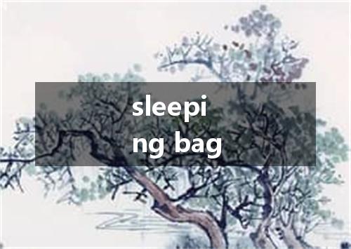sleeping bag是什么意思