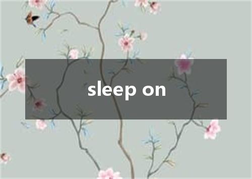 sleep on是什么意思