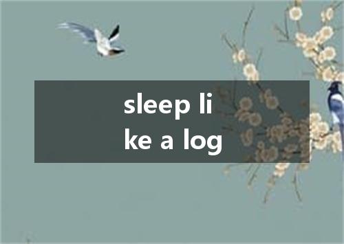 sleep like a log是什么意思