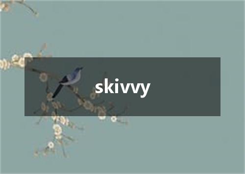 skivvy是什么意思