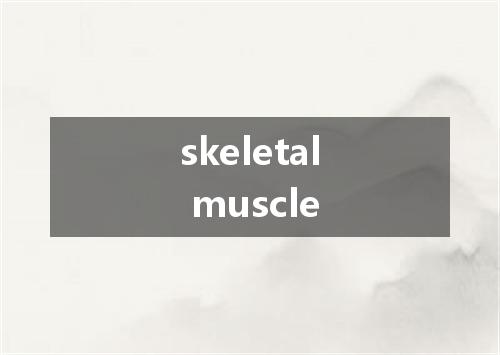skeletal muscle是什么意思