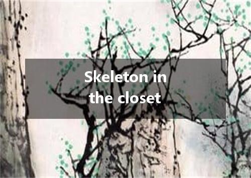 Skeleton in the closet是什么意思
