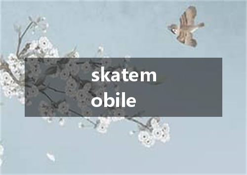 skatemobile是什么意思