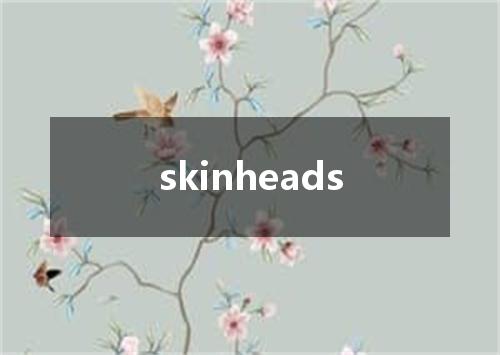 skinheads是什么意思
