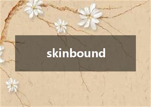 skinbound是什么意思