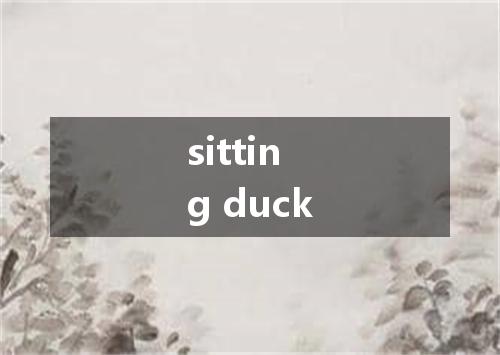 sitting duck是什么意思