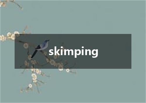 skimping是什么意思