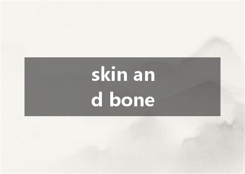 skin and bone是什么意思
