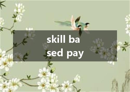 skill based pay是什么意思
