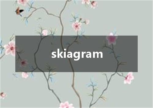 skiagram是什么意思