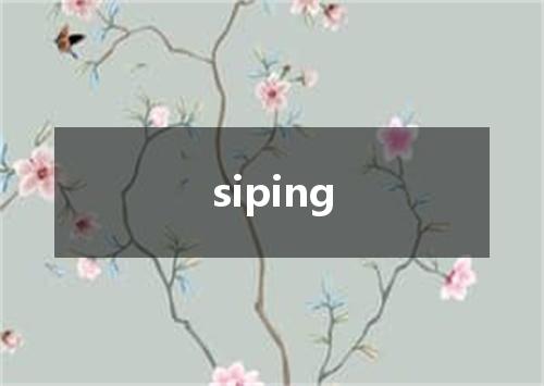 siping是什么意思