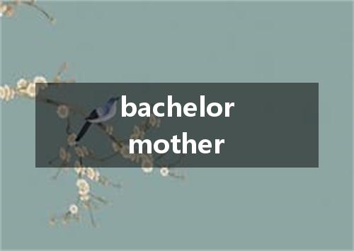 bachelor mother是什么意思
