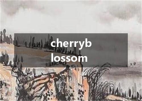 cherryblossom是什么意思