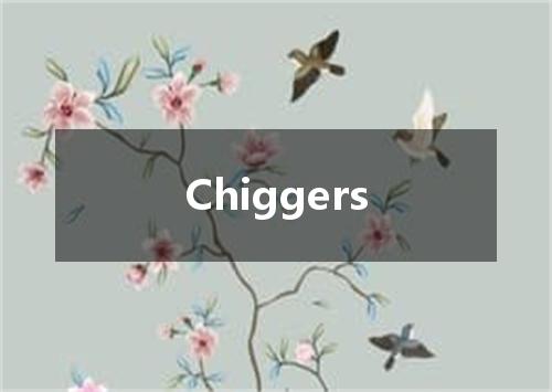 Chiggers是什么意思