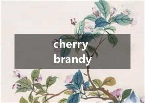 cherry brandy是什么意思