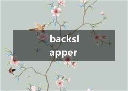 backslapper是什么意思