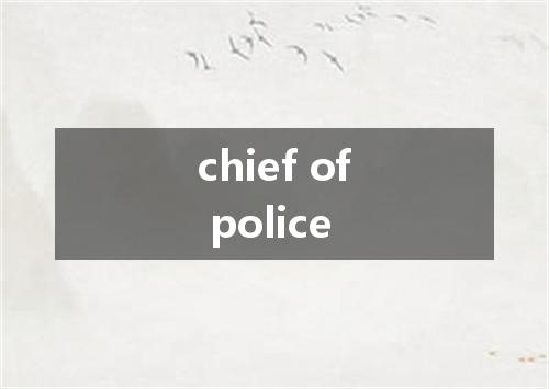 chief of police是什么意思