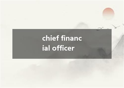 chief financial officer是什么意思