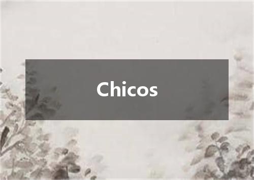 Chicos是什么意思