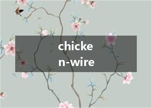 chicken-wire是什么意思