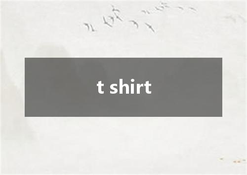 t shirt是什么意思