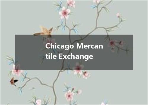 Chicago Mercantile Exchange是什么意思